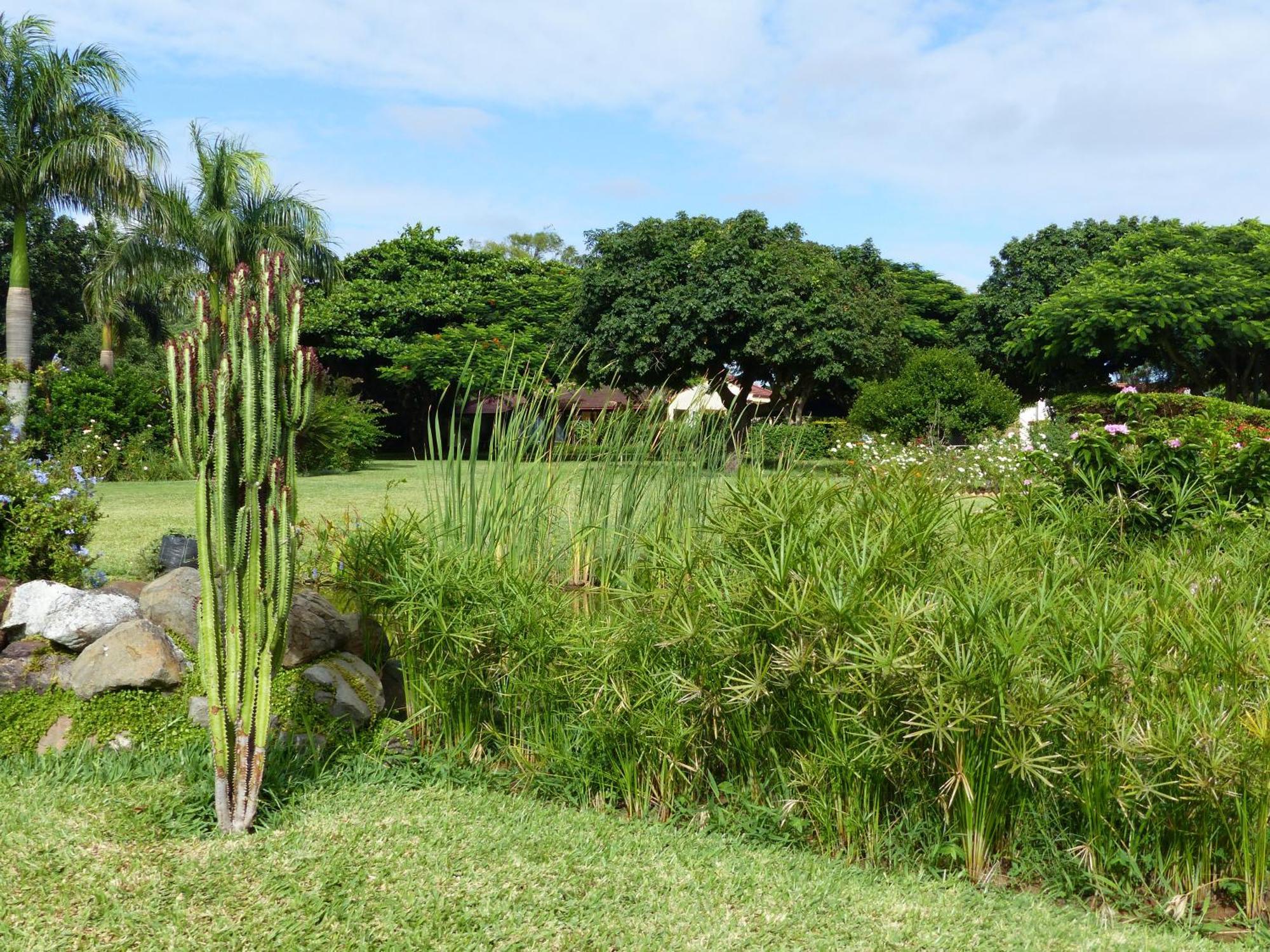 Ancha'S Oasis Hotel Maputo Ngoại thất bức ảnh